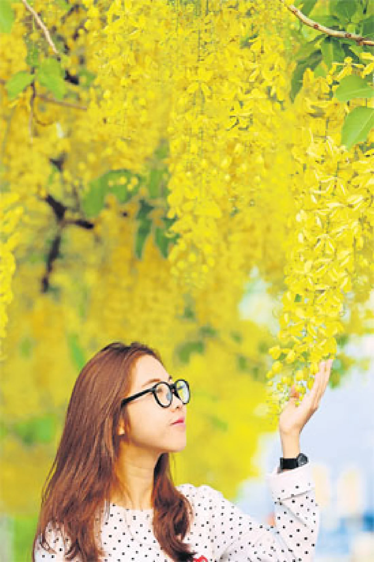 เส้นทางดอกไม้ 2 ฤดู คูนกำลังไป บัวกำลังมา