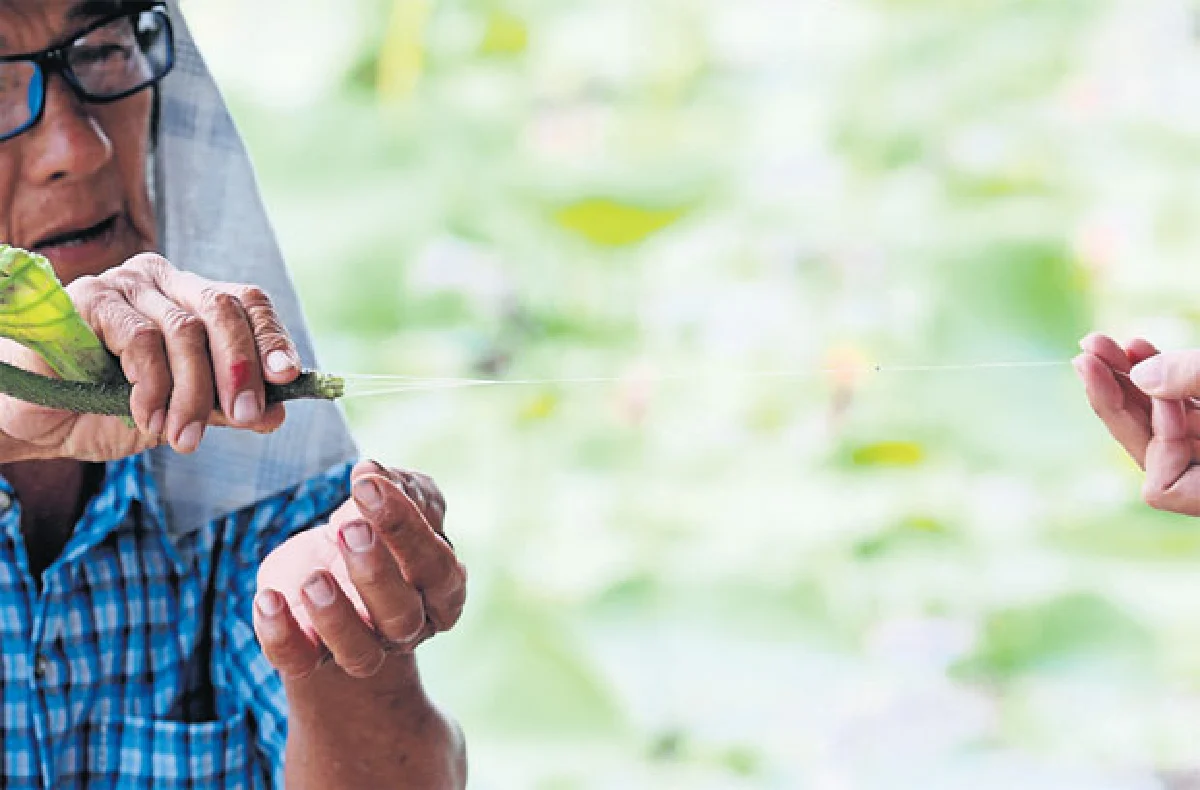 เส้นทางดอกไม้ 2 ฤดู คูนกำลังไป บัวกำลังมา