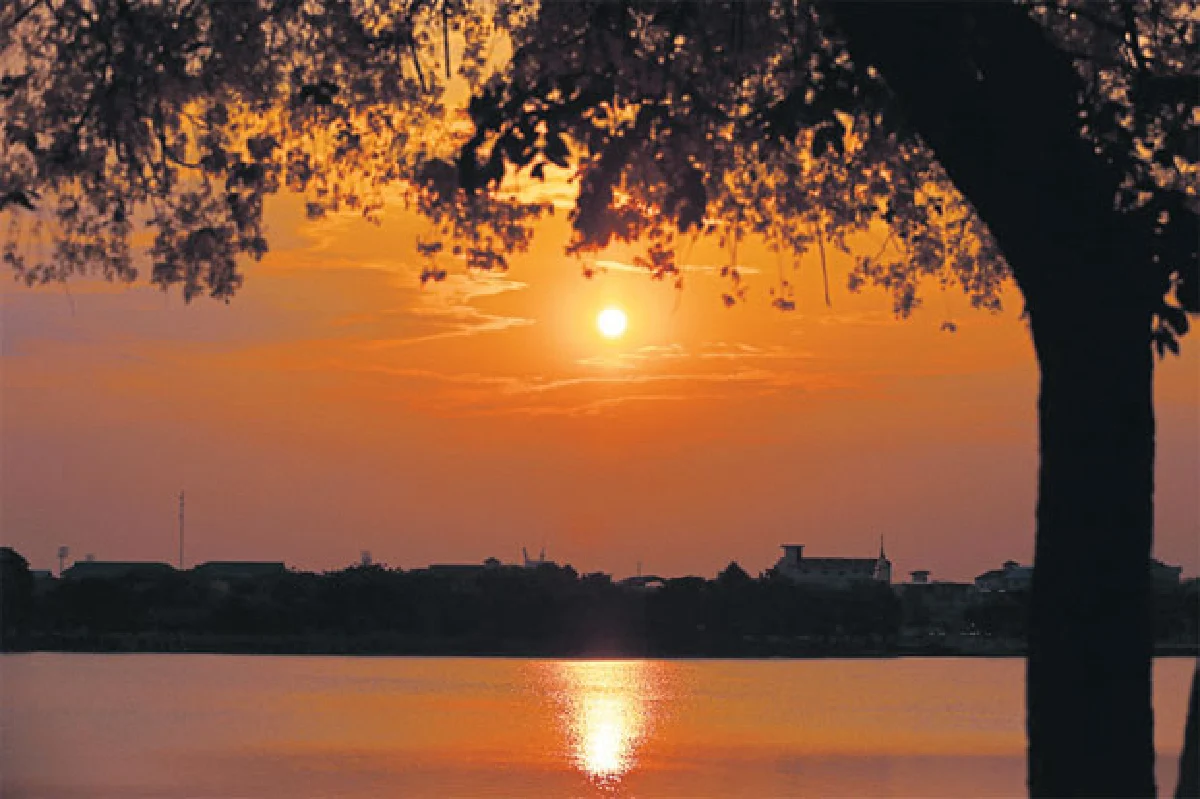 เส้นทางดอกไม้ 2 ฤดู คูนกำลังไป บัวกำลังมา