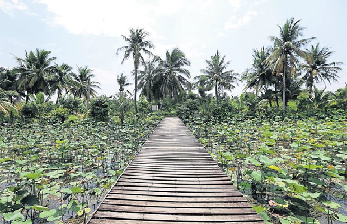 เส้นทางดอกไม้ 2 ฤดู คูนกำลังไป บัวกำลังมา