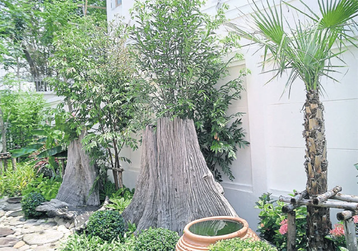 จัดสวนแบบองค์รวม