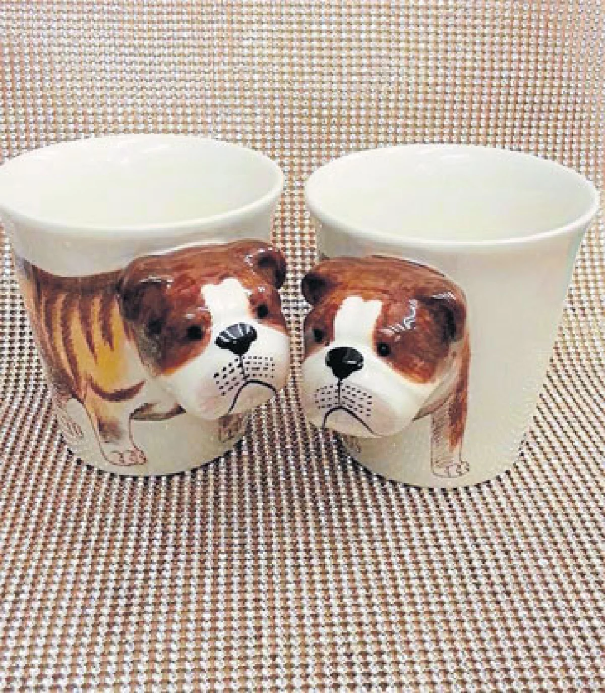 ชีวิตหรูหรา น้องหมา-น้องแมว