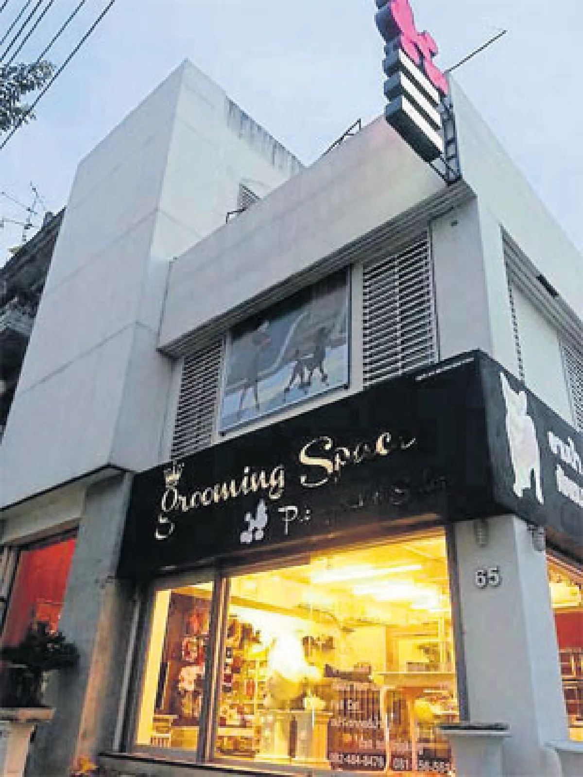 ชีวิตหรูหรา น้องหมา-น้องแมว