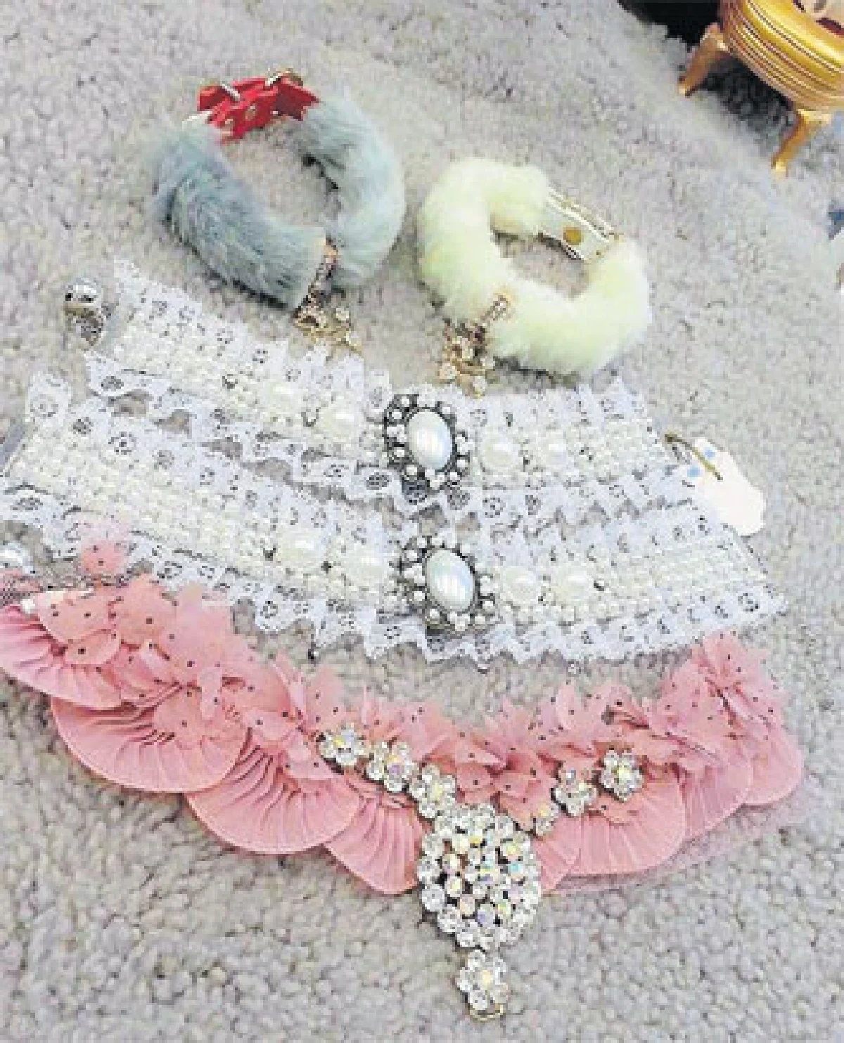 ชีวิตหรูหรา น้องหมา-น้องแมว