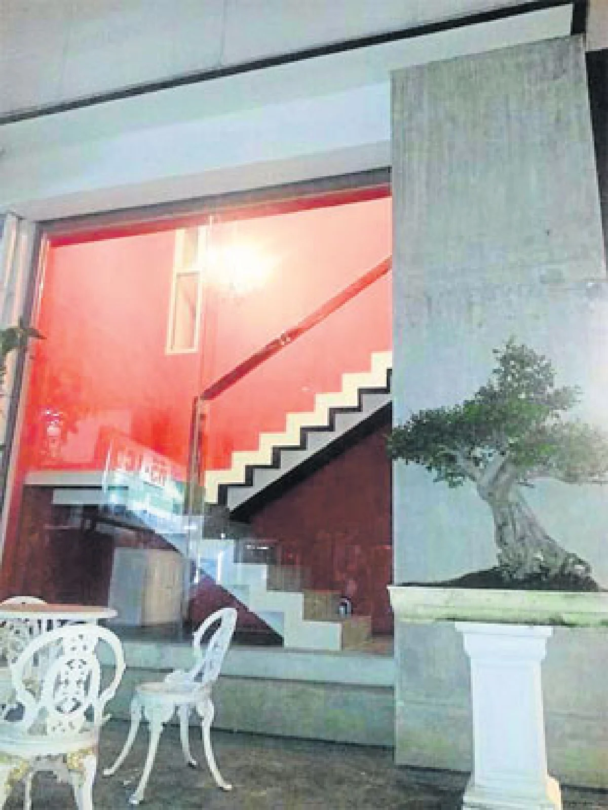 ชีวิตหรูหรา น้องหมา-น้องแมว