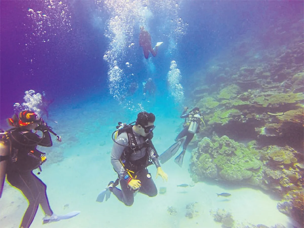 ดำน้ำดูฉลามที่ มัลดีฟส์