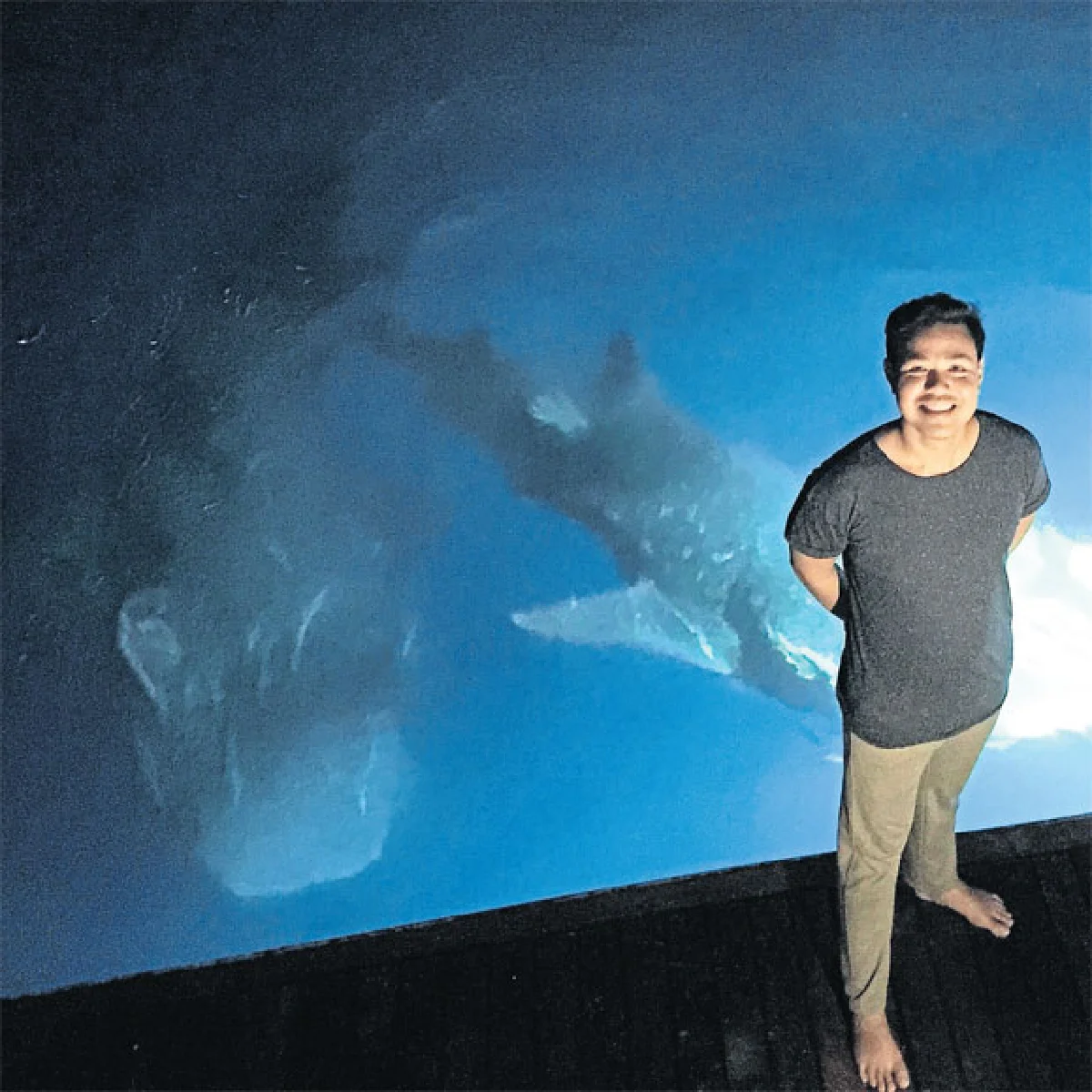 ดำน้ำดูฉลามที่ มัลดีฟส์