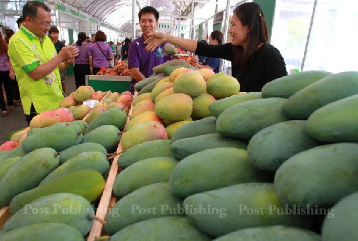 นายกฯเปิดตลาดนัดผลไม้คุณภาพหวังสร้างเถ้าแก่ใหม่