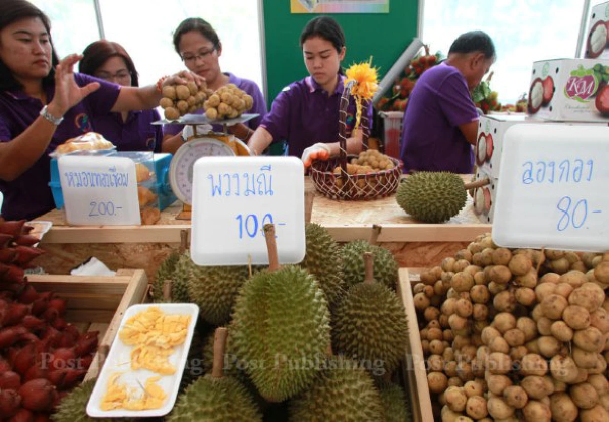 นายกฯเปิดตลาดนัดผลไม้คุณภาพหวังสร้างเถ้าแก่ใหม่