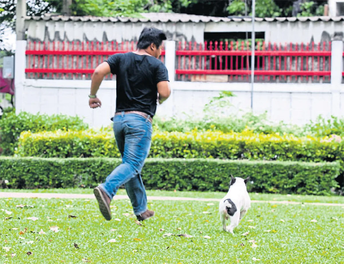 สวนป่าวิภาวดีรังสิต พาหมาไปฟิตแอนด์เฟิร์ม