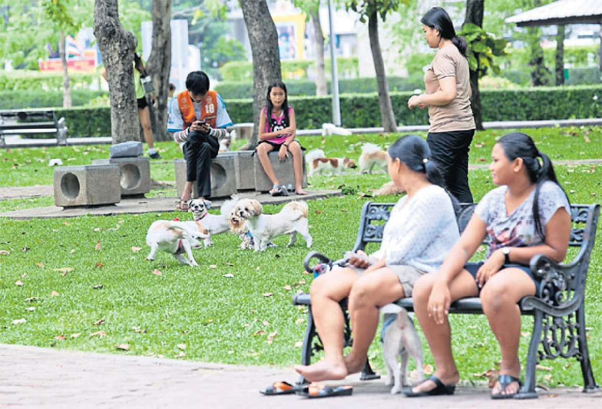 สวนป่าวิภาวดีรังสิต พาหมาไปฟิตแอนด์เฟิร์ม