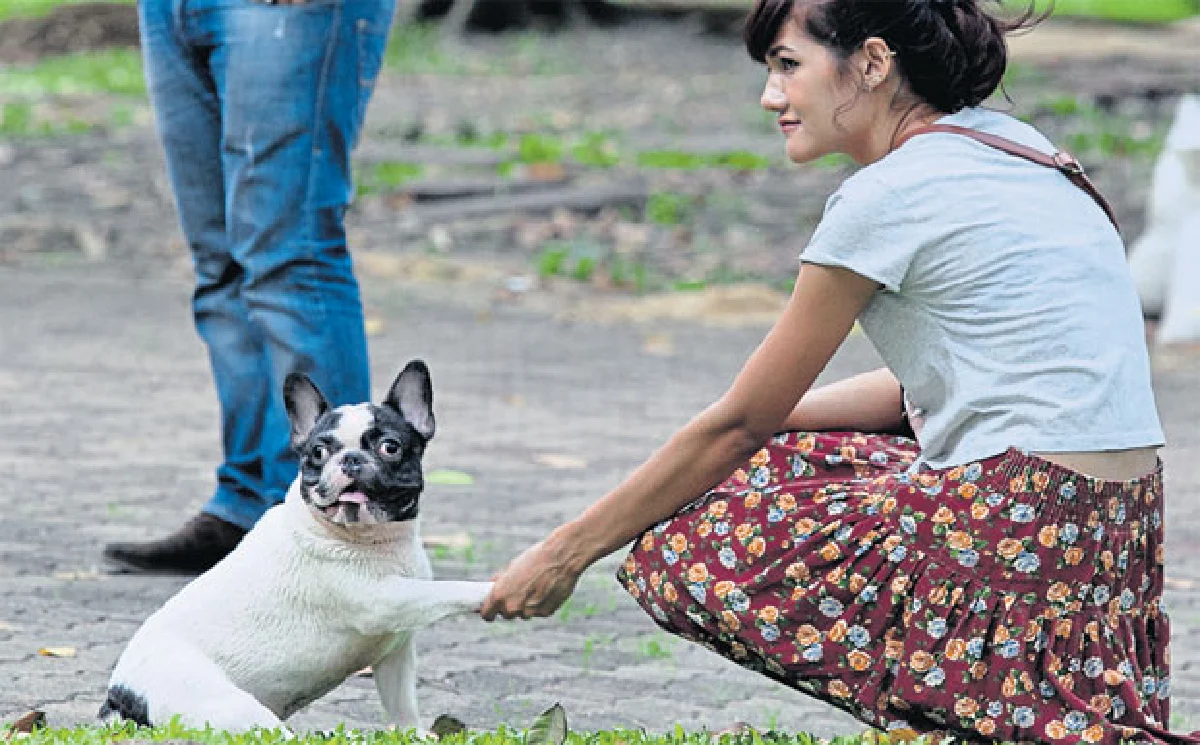 สวนป่าวิภาวดีรังสิต พาหมาไปฟิตแอนด์เฟิร์ม