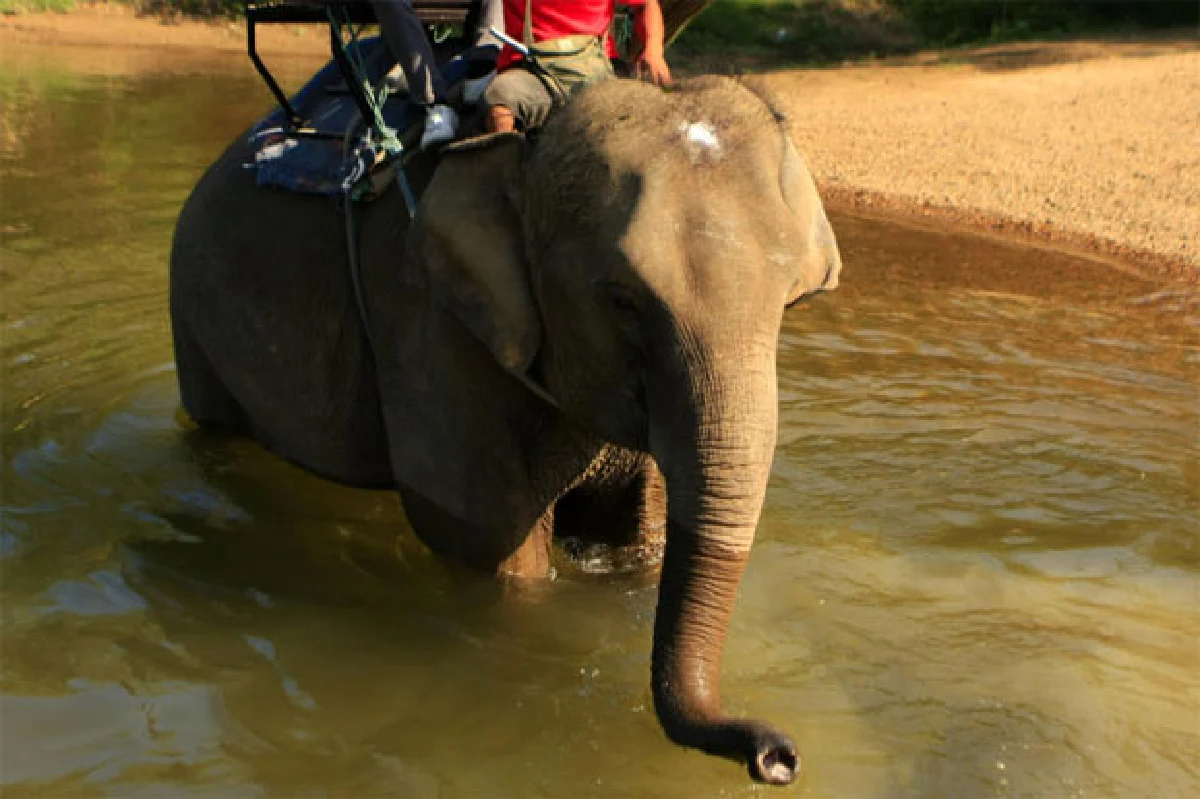 ขี่ช้าง ล่องแพ ลุยถ้ำ สนุกสุดที่กาญจนบุรี
