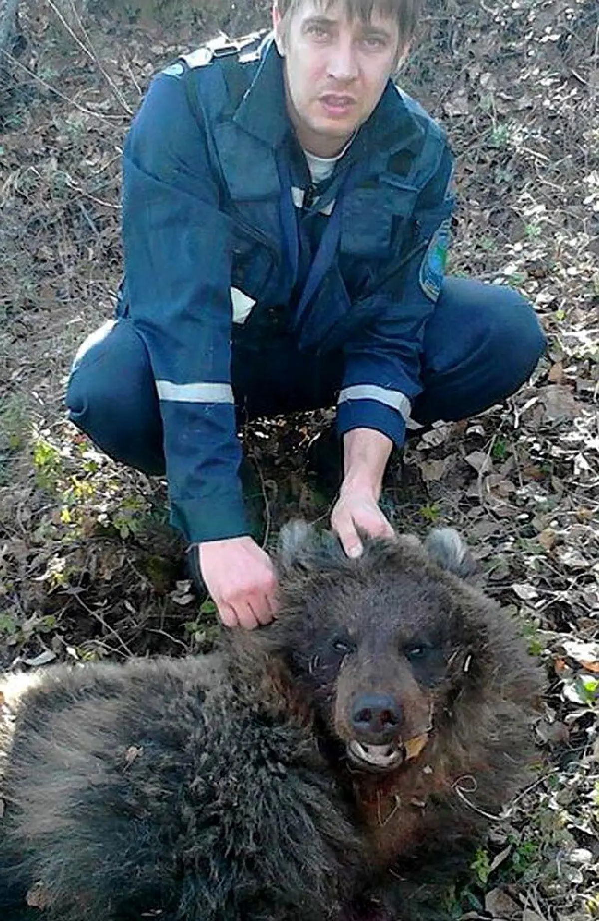 โชคช่วย!หญิงรัสเซียรอดตาย หลังถูกหมีตะครุบ-ดินกลบ