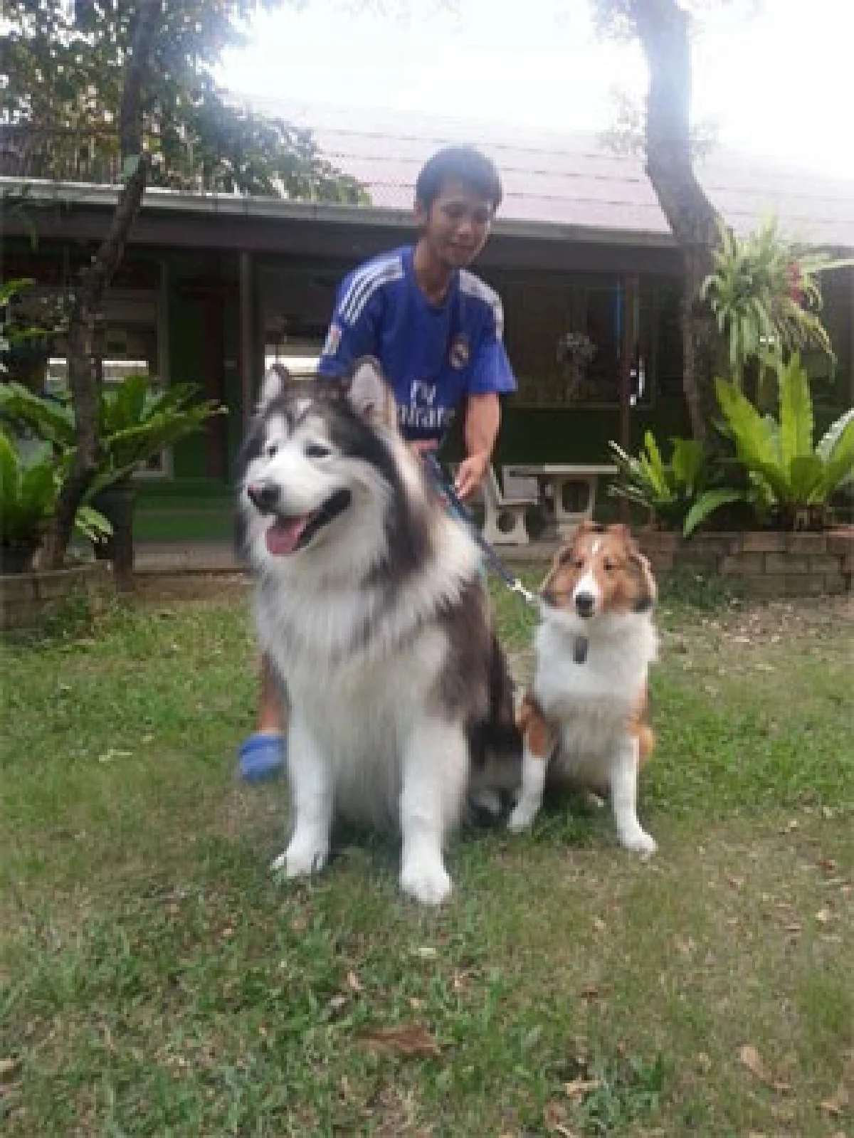 เพ็ท พาราไดส์ พาร์ค สวนสวรรค์สำหรับเจ้าตูบ