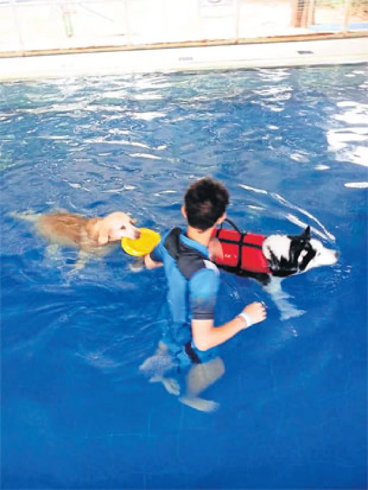 เพ็ท พาราไดส์ พาร์ค สวนสวรรค์สำหรับเจ้าตูบ