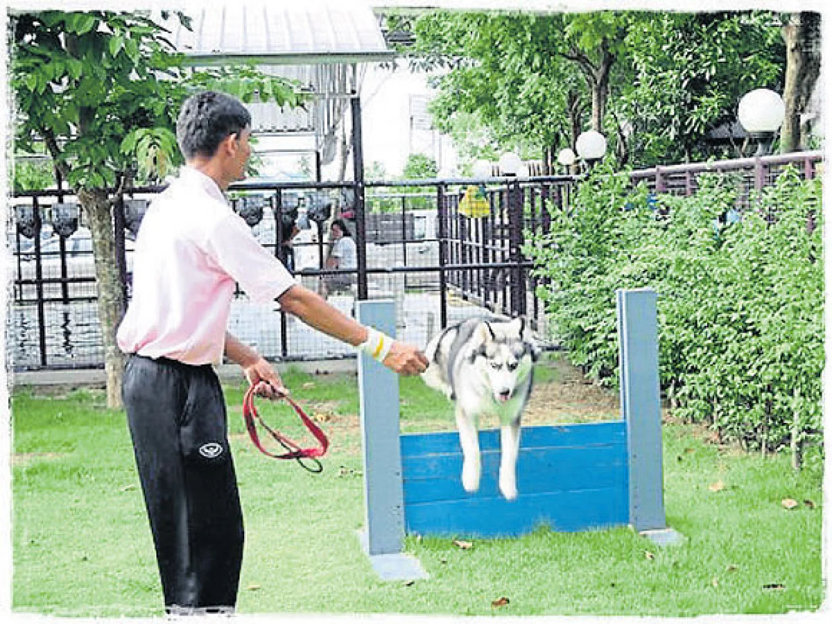 เพ็ท พาราไดส์ พาร์ค สวนสวรรค์สำหรับเจ้าตูบ