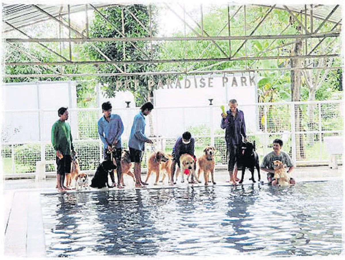 เพ็ท พาราไดส์ พาร์ค สวนสวรรค์สำหรับเจ้าตูบ