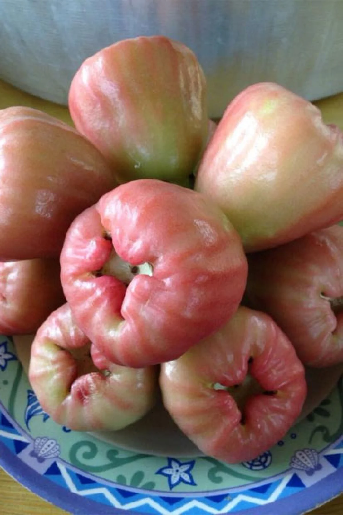 ‘ชมพู่เพชรสายรุ้ง’ ยอดผลไม้เมืองเพชร