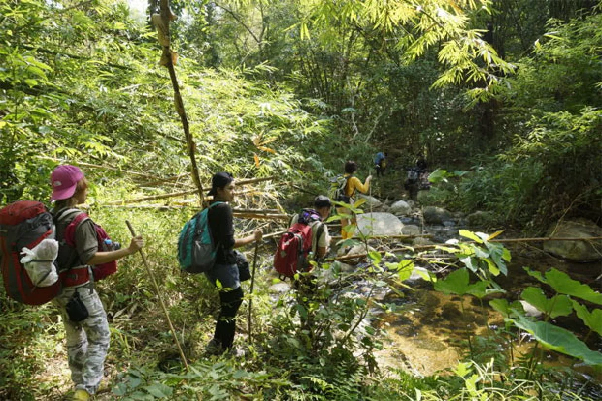 จุดสุดยอด เมืองไทย โมโกจู