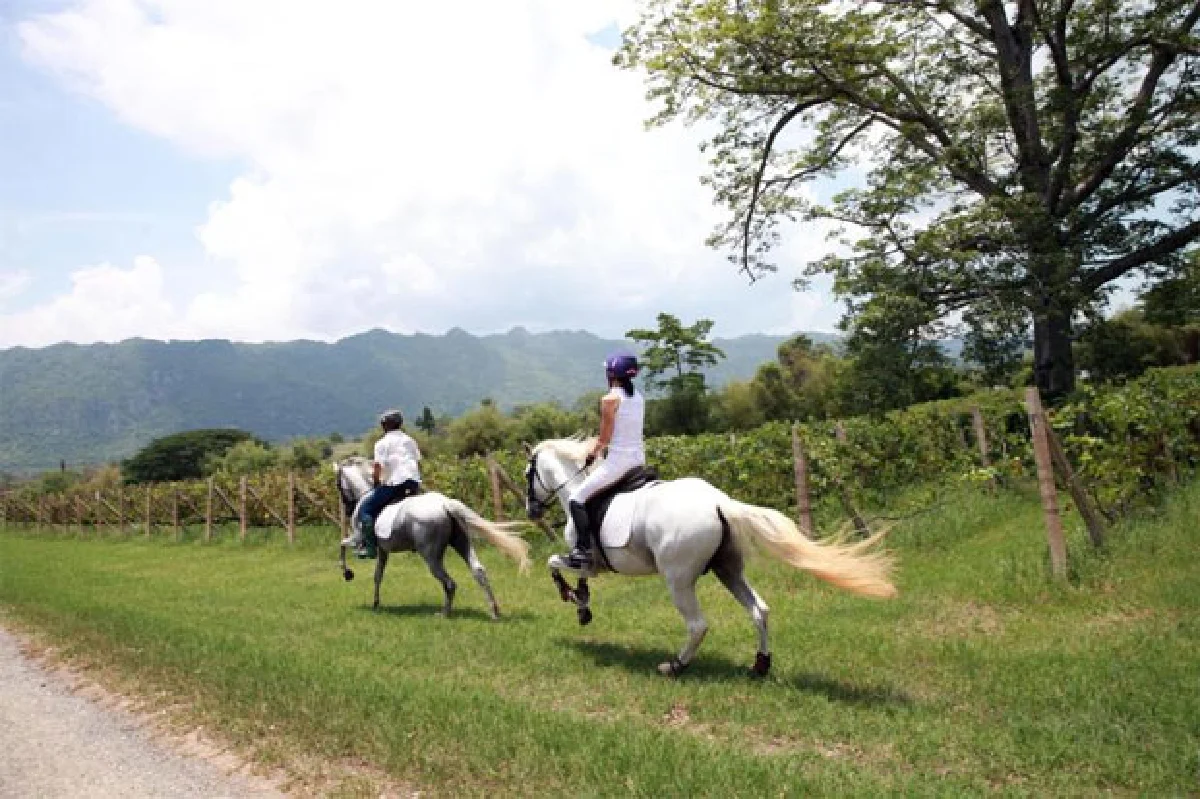 กีฬาขี่ม้า ชัยชนะที่ใช้ใจประสานใจ