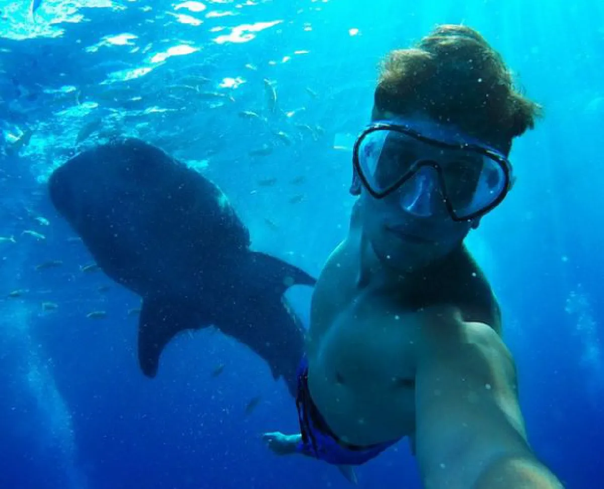 Elfies = Elephant Seflies: New social media trend