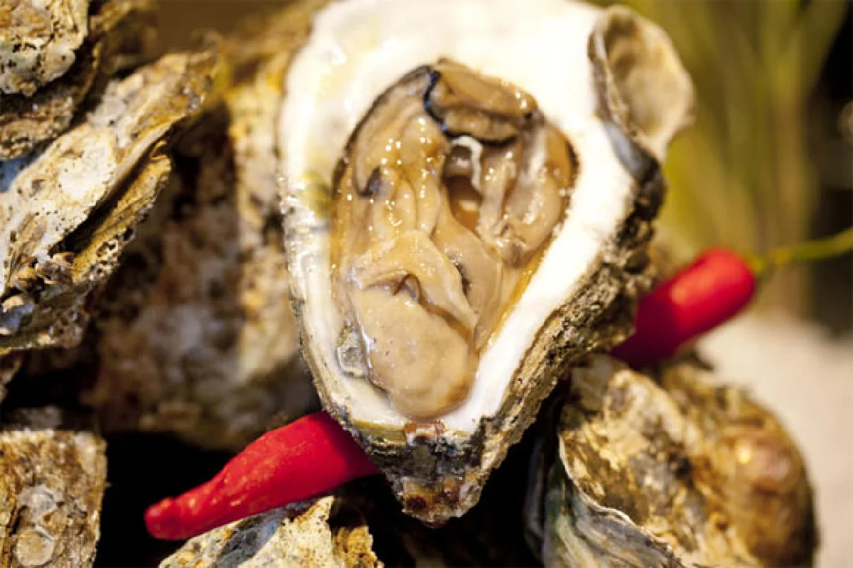 บรันช์วันเสาร์