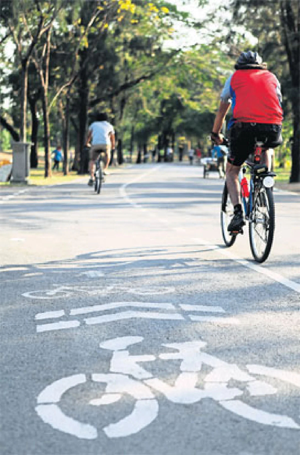 พักผ่อน-ปั่นจักรยาน ที่สวนวชิรเบญจทัศ (สวนรถไฟ)