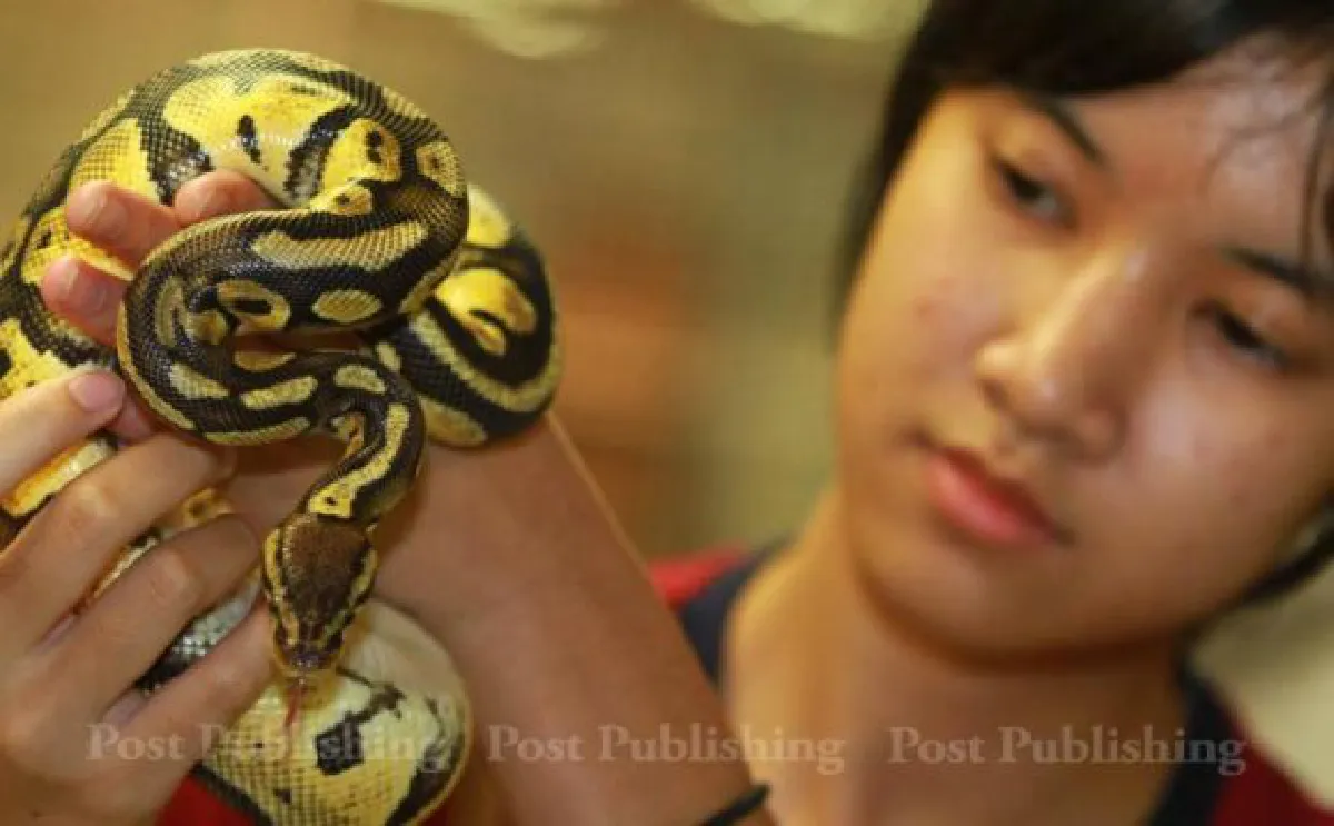 Bangkok Pet Expo 2015: Cute & exotic pets (photos, video)