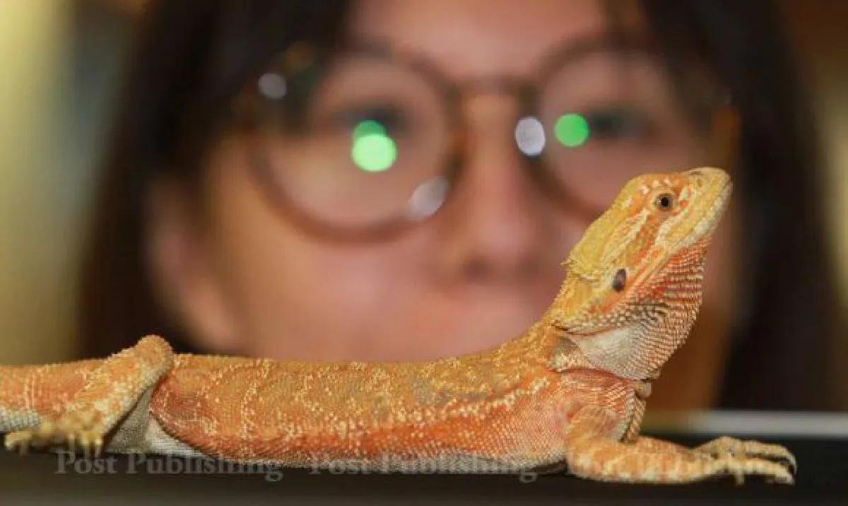 Bangkok Pet Expo 2015: Cute & exotic pets (photos, video)