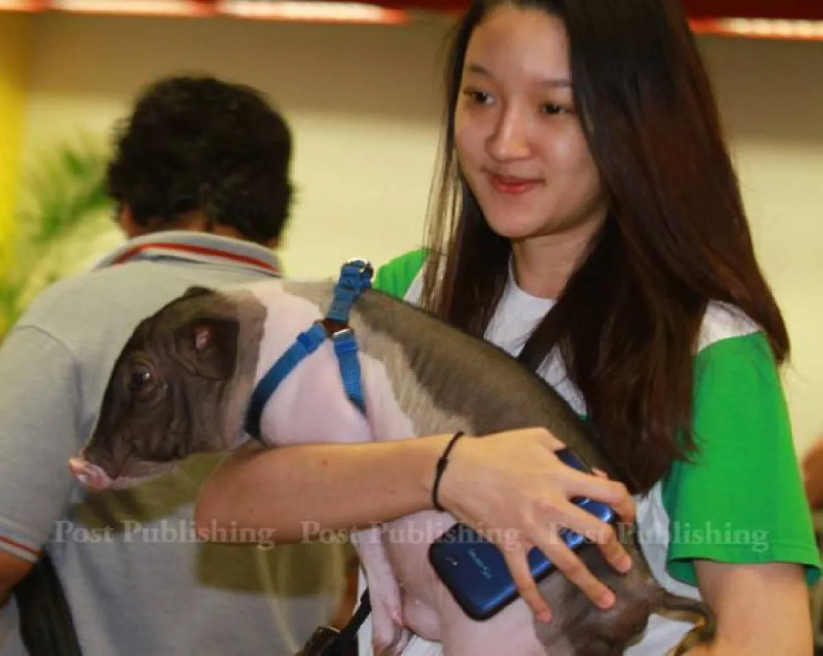 Bangkok Pet Expo 2015: Cute & exotic pets (photos, video)