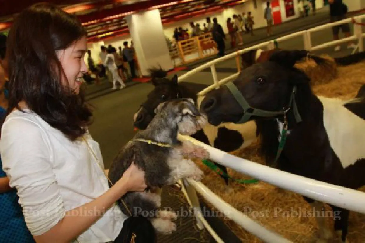 Bangkok Pet Expo 2015: Cute & exotic pets (photos, video)