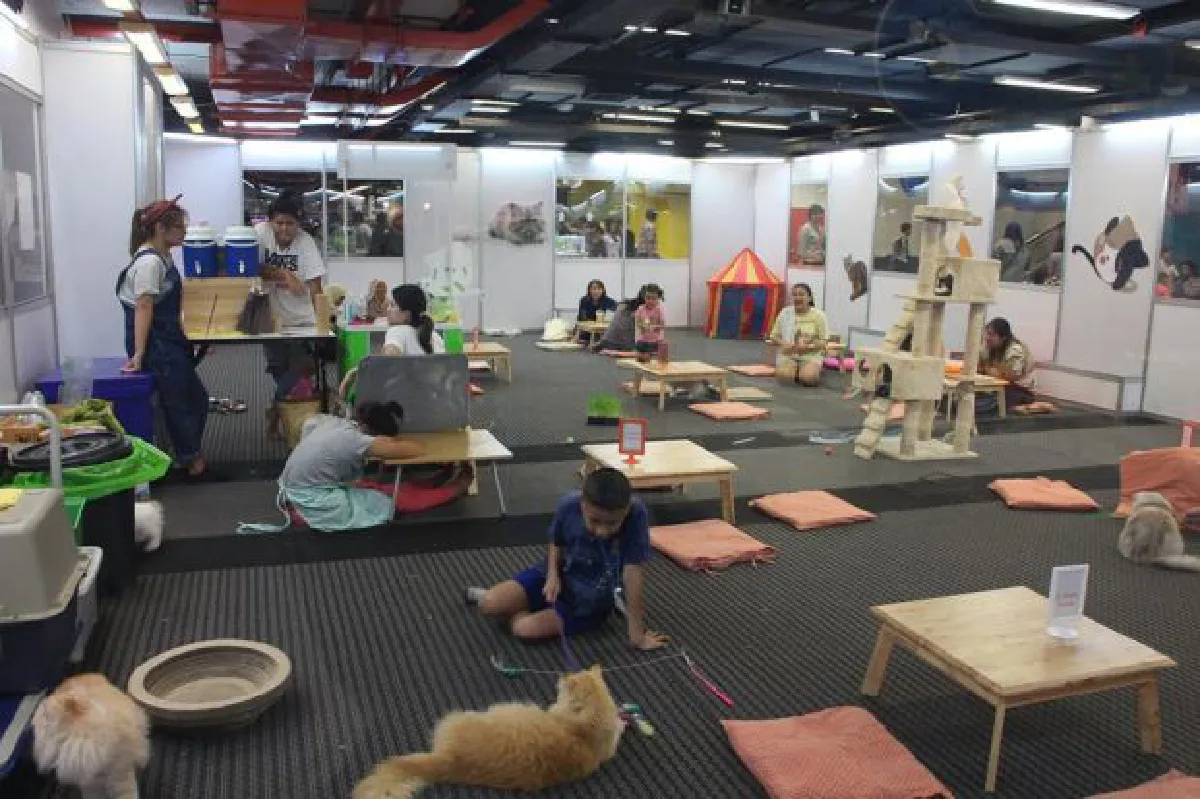 Bangkok Pet Expo 2015: Cute & exotic pets (photos, video)