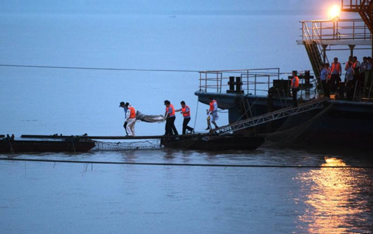 Cruise ship sinking: Survivors rescued, but more than 400 still missing