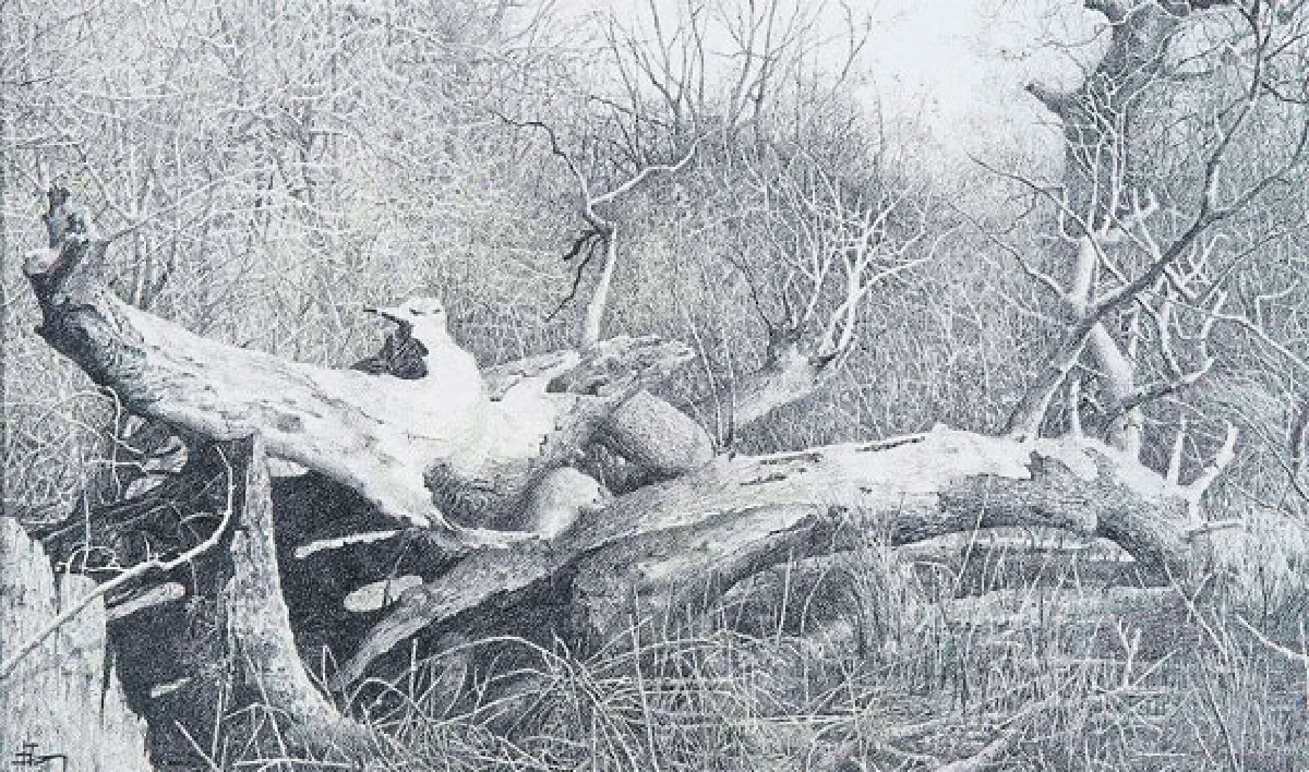 ‘ธรรมชาติสนทนา’ ศิลป์อุตสาหะแนวจินตนิยม