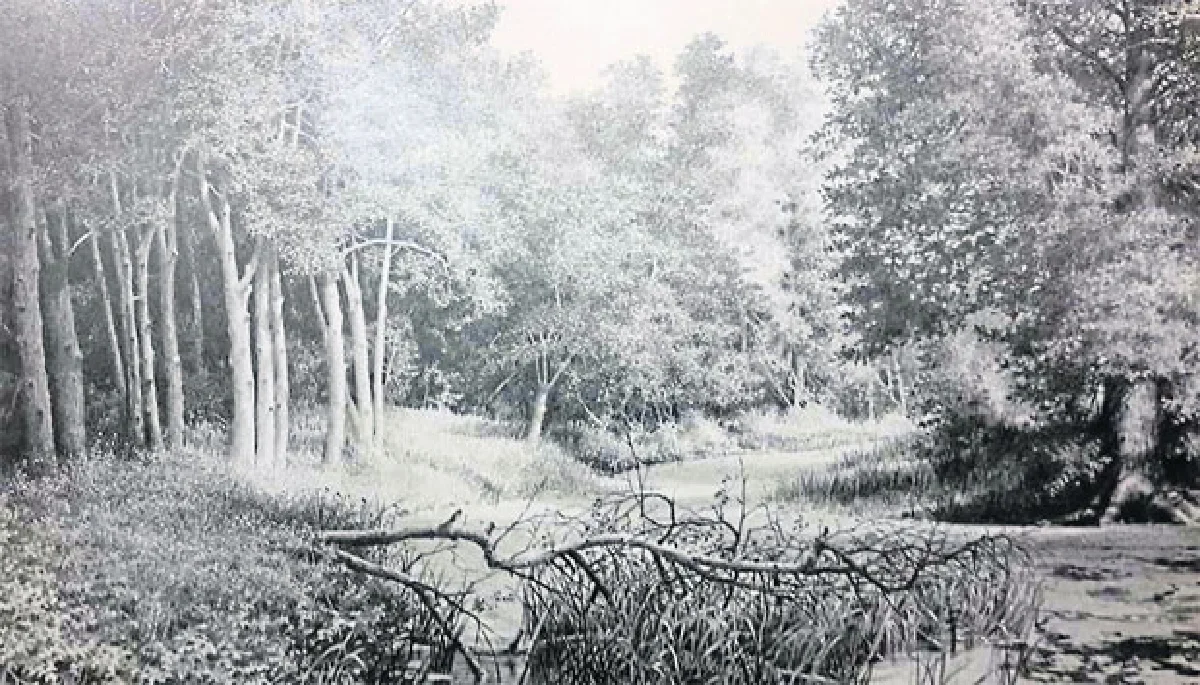 ‘ธรรมชาติสนทนา’ ศิลป์อุตสาหะแนวจินตนิยม