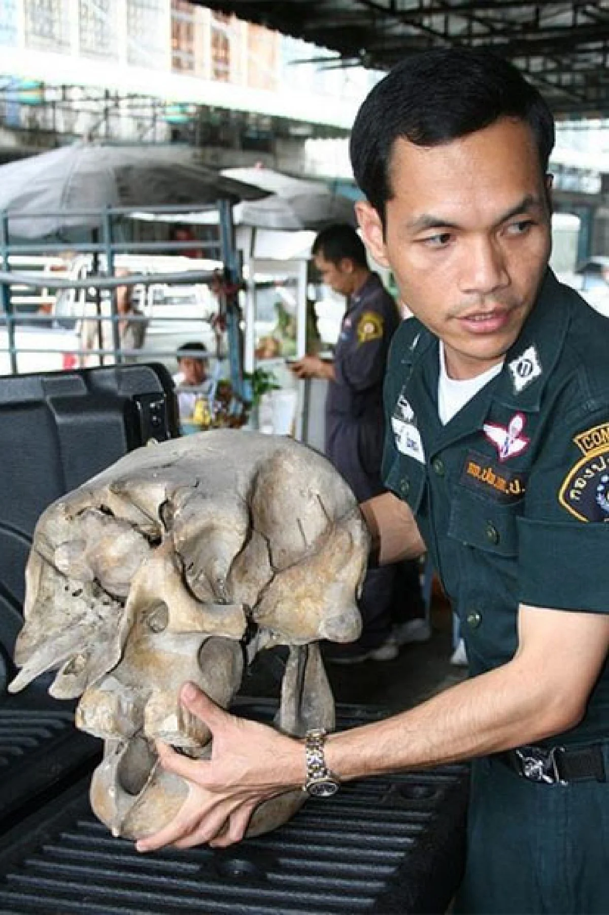 เทคโนโลยี ‘รักษ์โลก’ รู้ทันอาชญากรรมสิ่งแวดล้อมและสัตว์ป่า