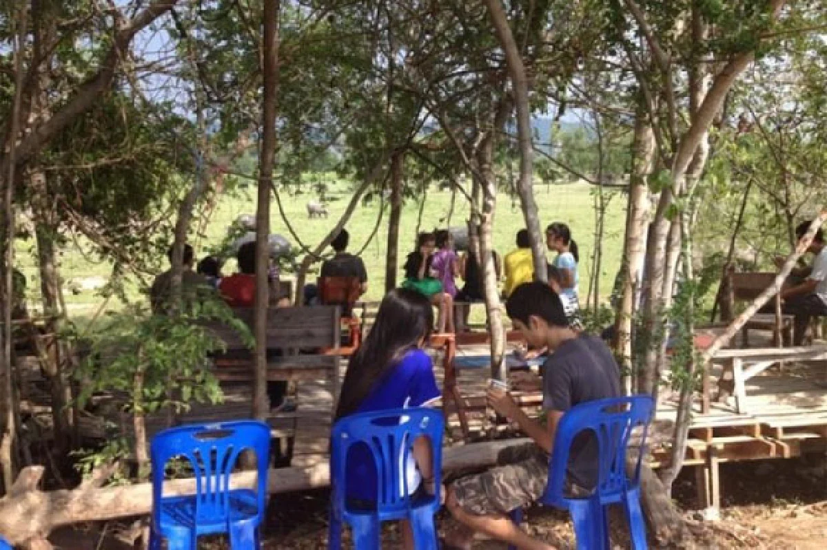 'กินไอติมดูควาย' ไอเดียโดนใจคนกรุง