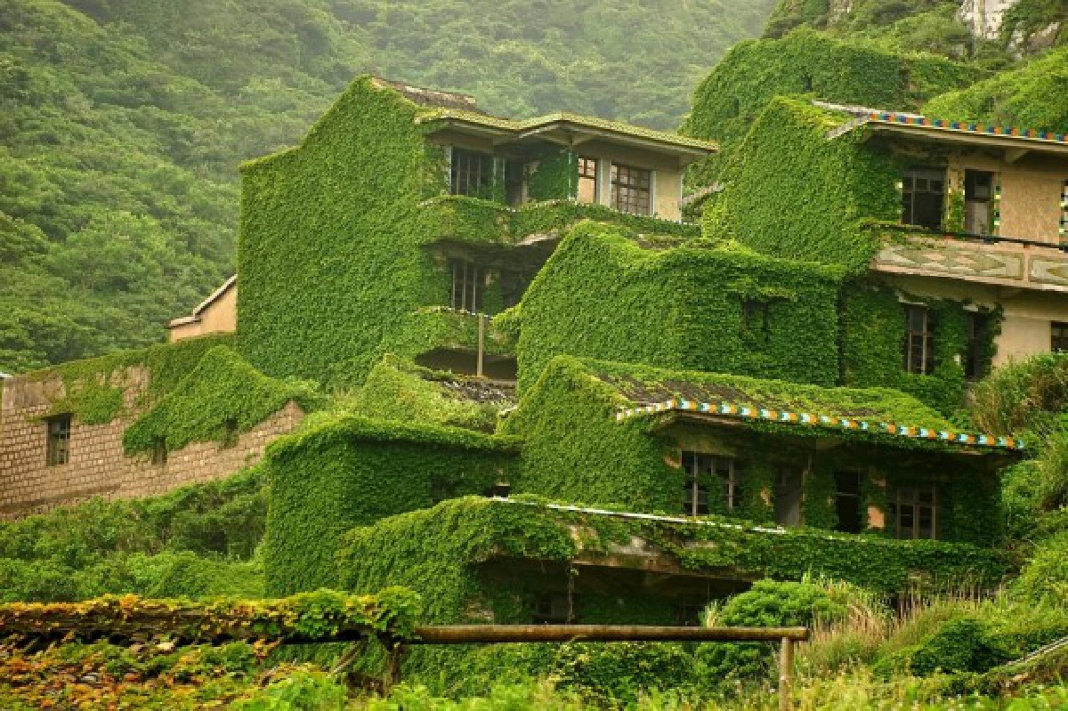 สวยงาม!เมื่อหมู่บ้านประมงร้างถูกธรรมชาติยึดคืน (ชมภาพ)