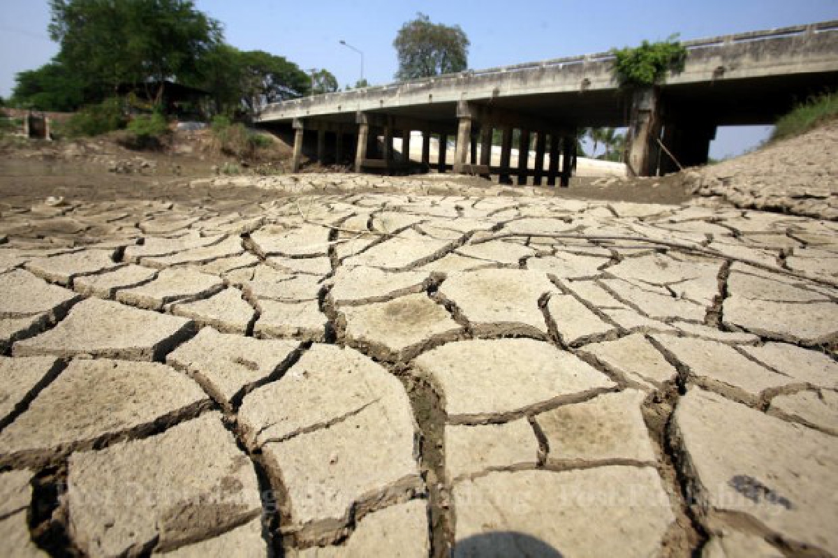 หวั่นเอลนินโญ่ปีนี้หนักสุดรอบ18ปี หวั่นเอลนินโญ่ปีนี้หนักสุดรอบ18ปี