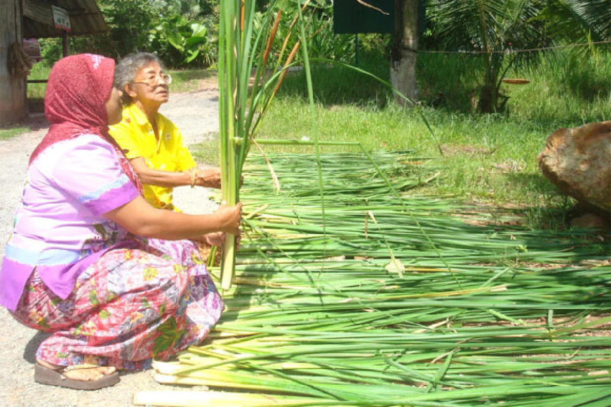 จักสานก้านธูปฤๅษีกันตัง ความสำเร็จที่มากกว่าเม็ดเงิน