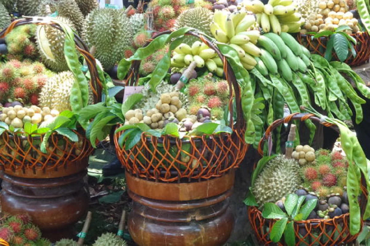 เทศกาลเงาะ-ทุเรียน ของดีเมืองศรีสะเกษ