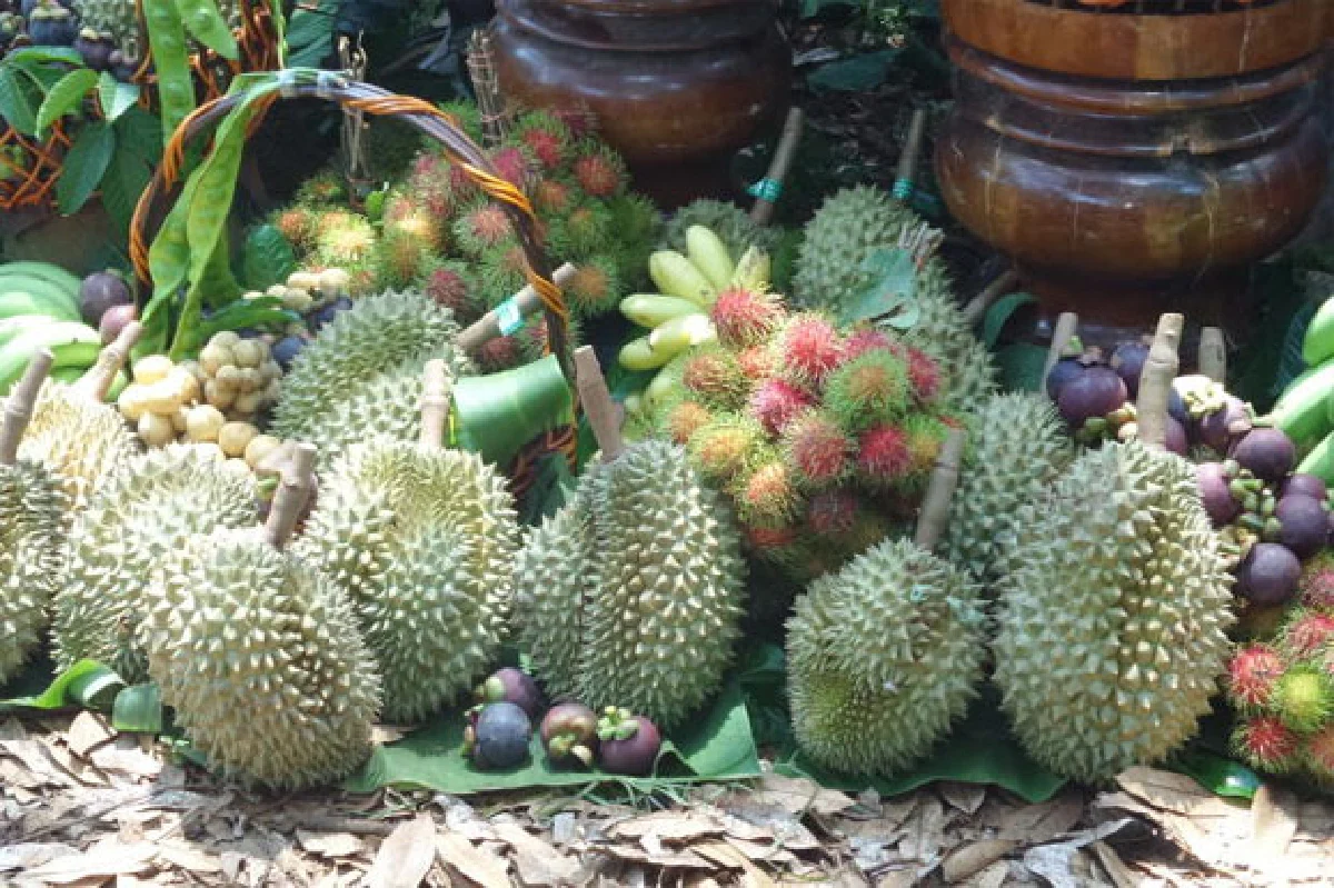 เทศกาลเงาะ-ทุเรียน ของดีเมืองศรีสะเกษ