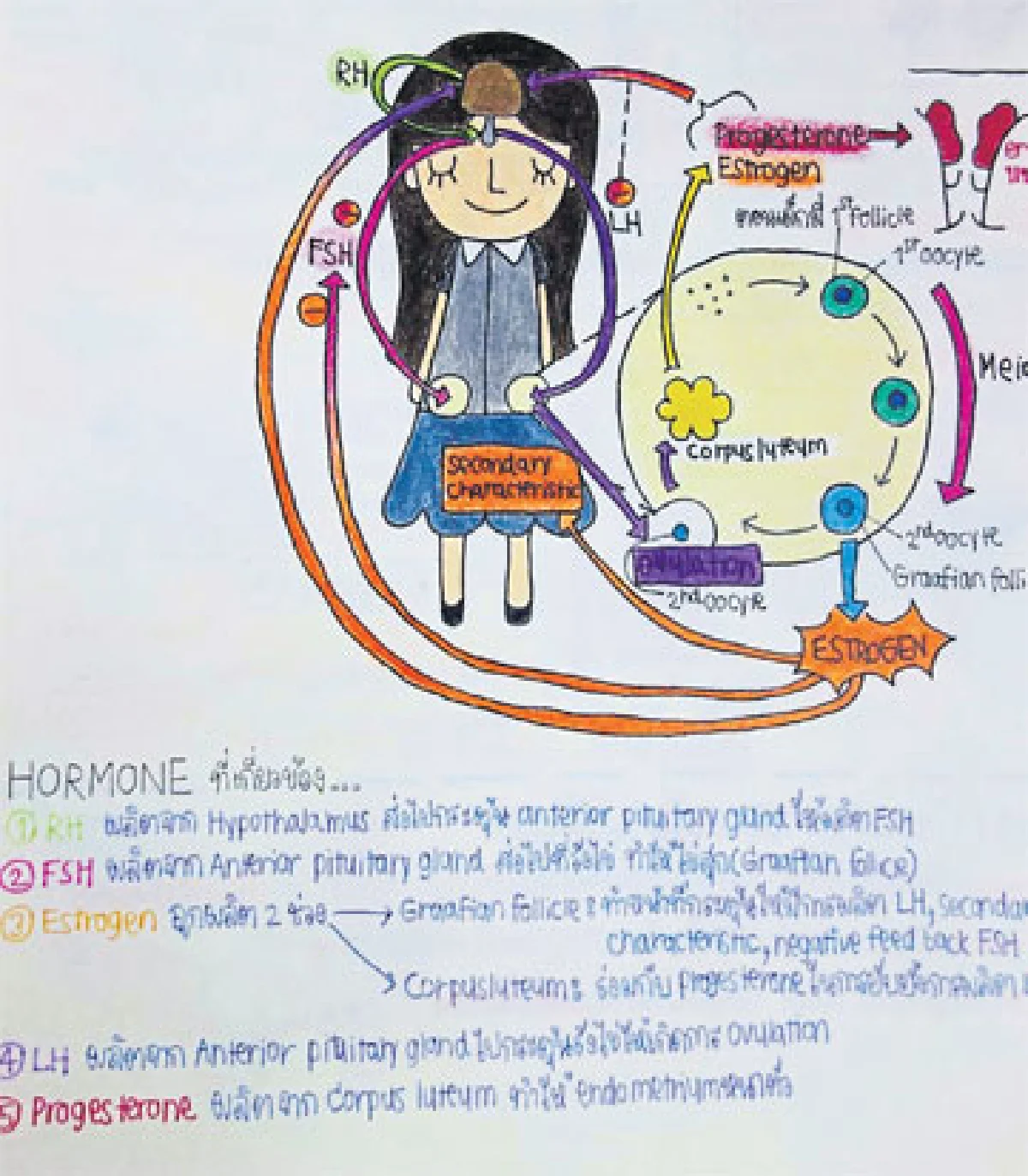 5 หัวกะทิ พิชิตแอดมิชชั่น
