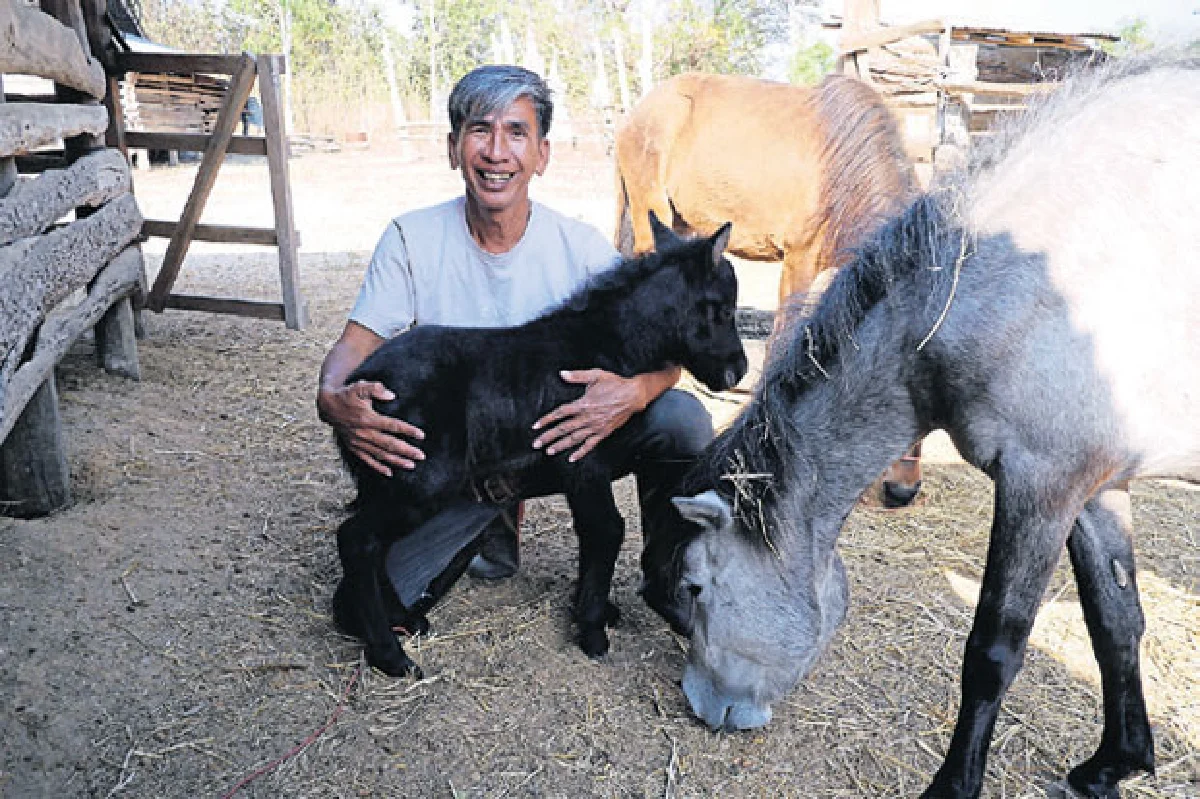 ขี่ม้าท่องไพร เอาตัวรอดในป่า