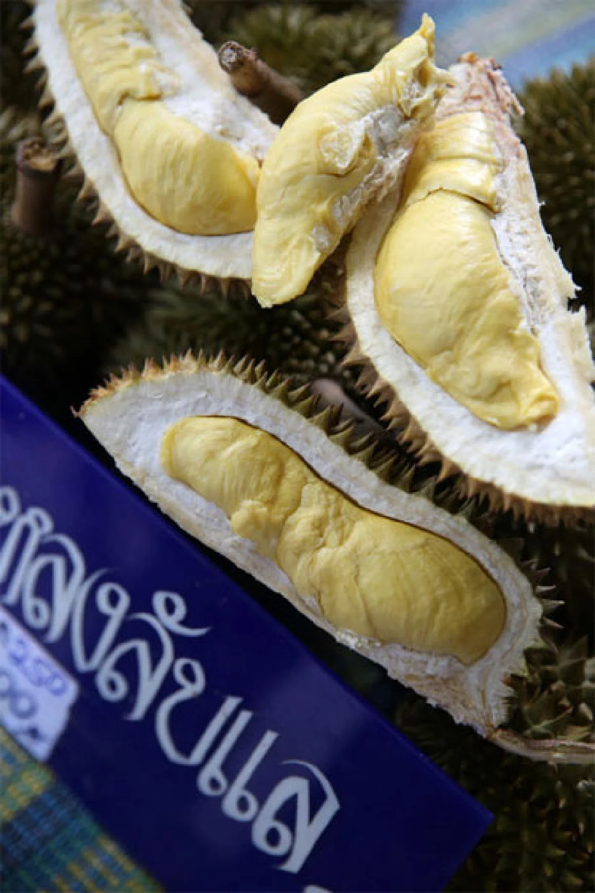 ‘ทุเรียนหลงลับแล’ อร่อยหวานพอดีๆ