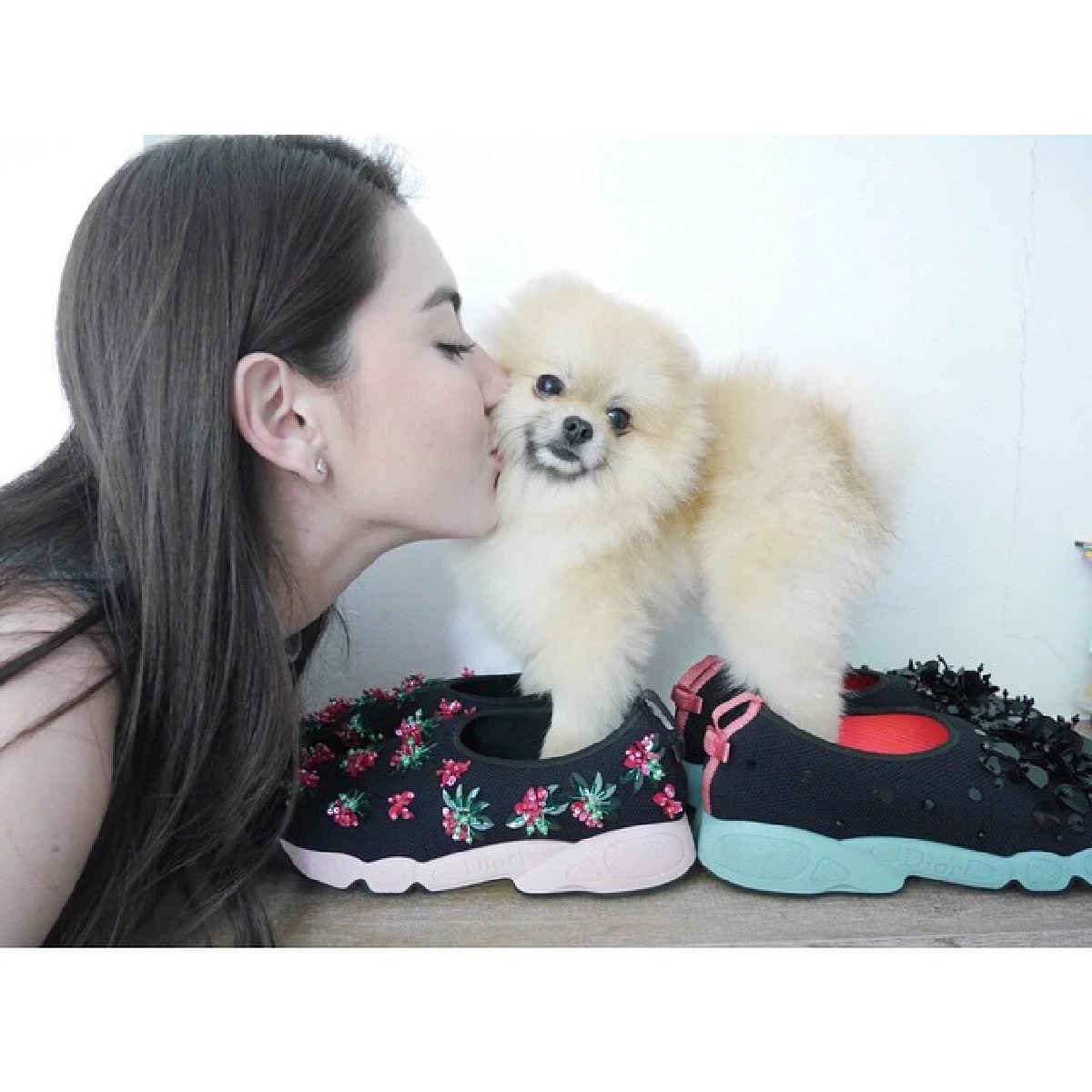 น่ารักโดนใจ..รวมสัตว์เลี้ยงซุปตาร์ มะหมาสี่ขาครับ!