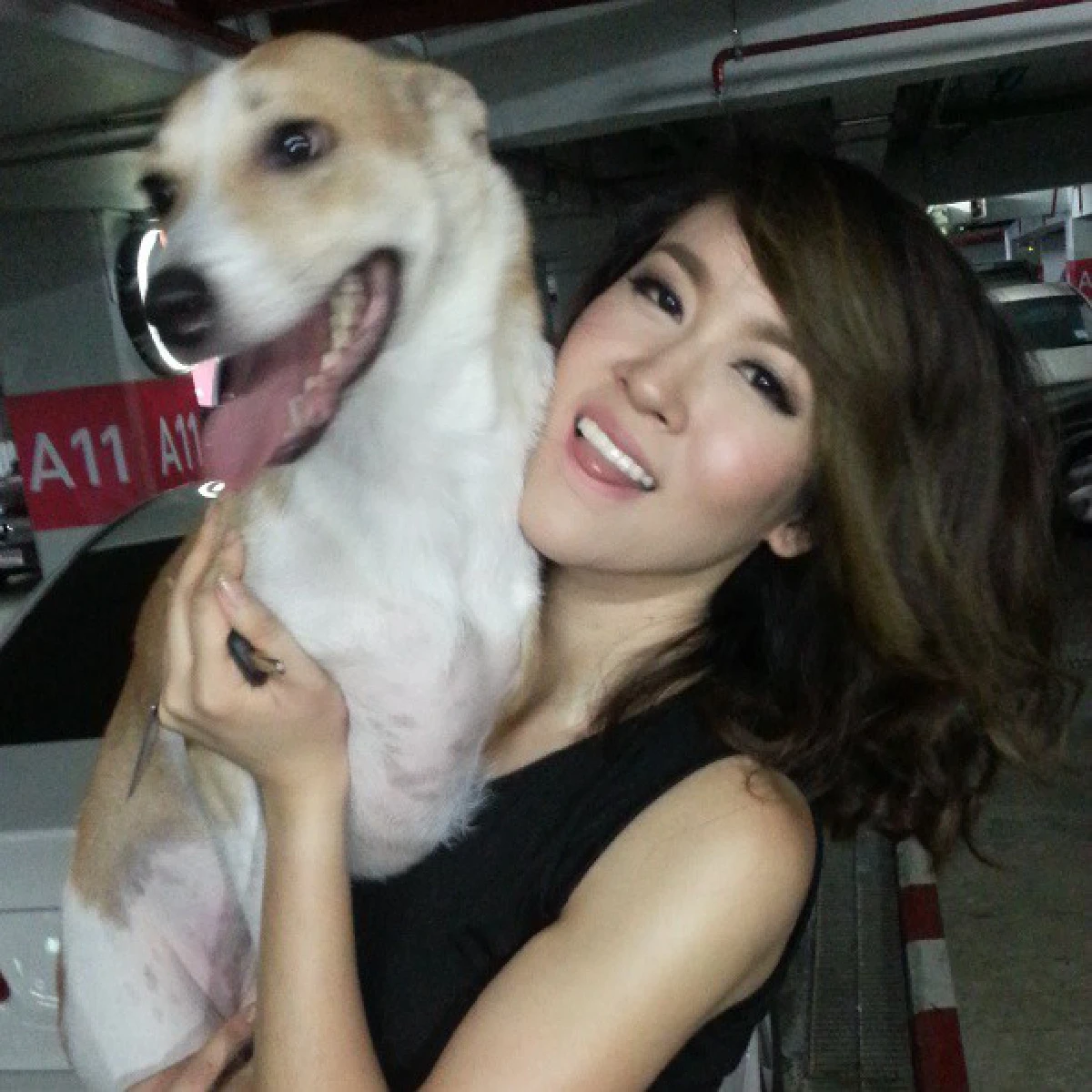 น่ารักโดนใจ..รวมสัตว์เลี้ยงซุปตาร์ มะหมาสี่ขาครับ!