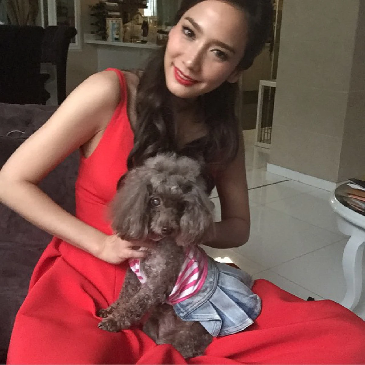 น่ารักโดนใจ..รวมสัตว์เลี้ยงซุปตาร์ มะหมาสี่ขาครับ!