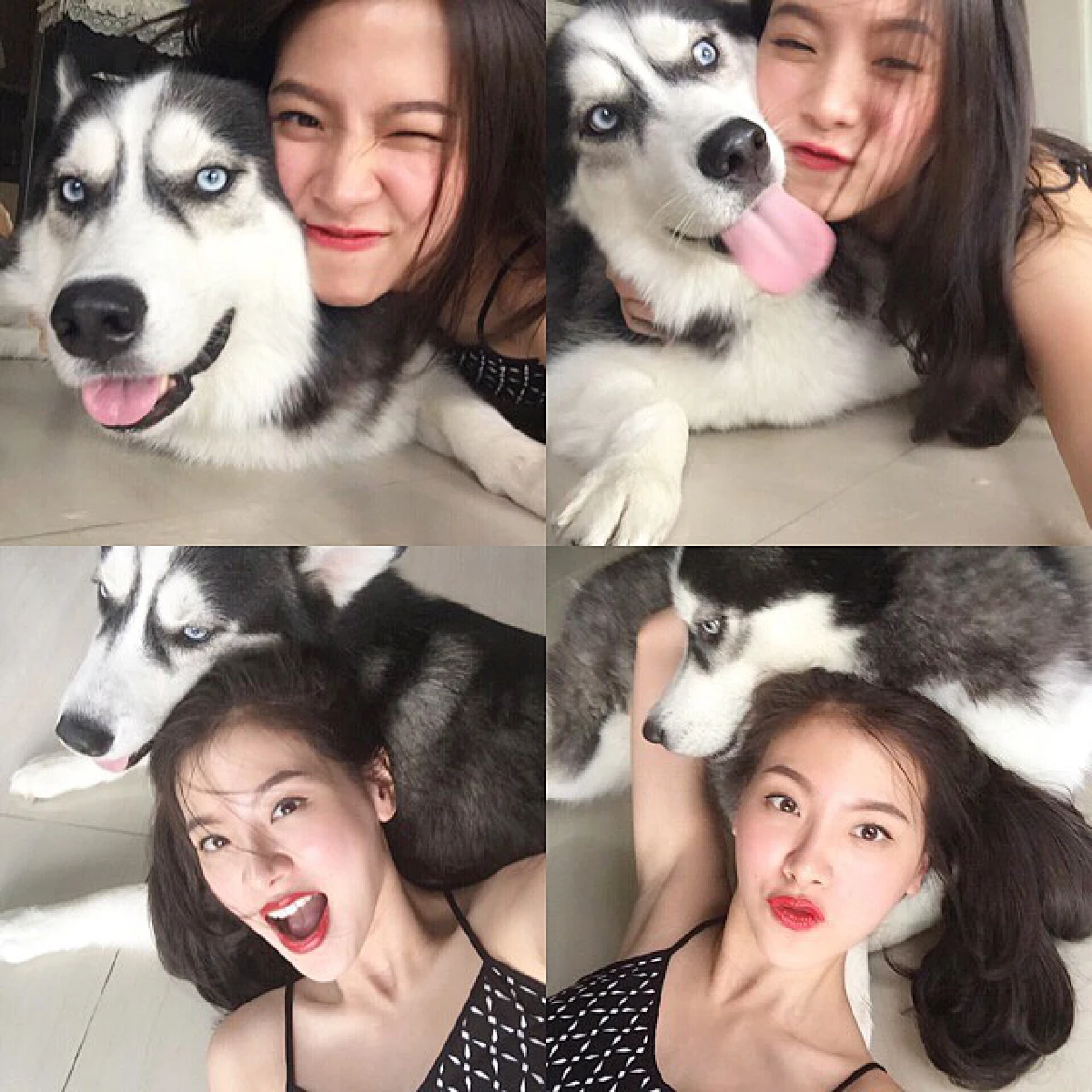 น่ารักโดนใจ..รวมสัตว์เลี้ยงซุปตาร์ มะหมาสี่ขาครับ!